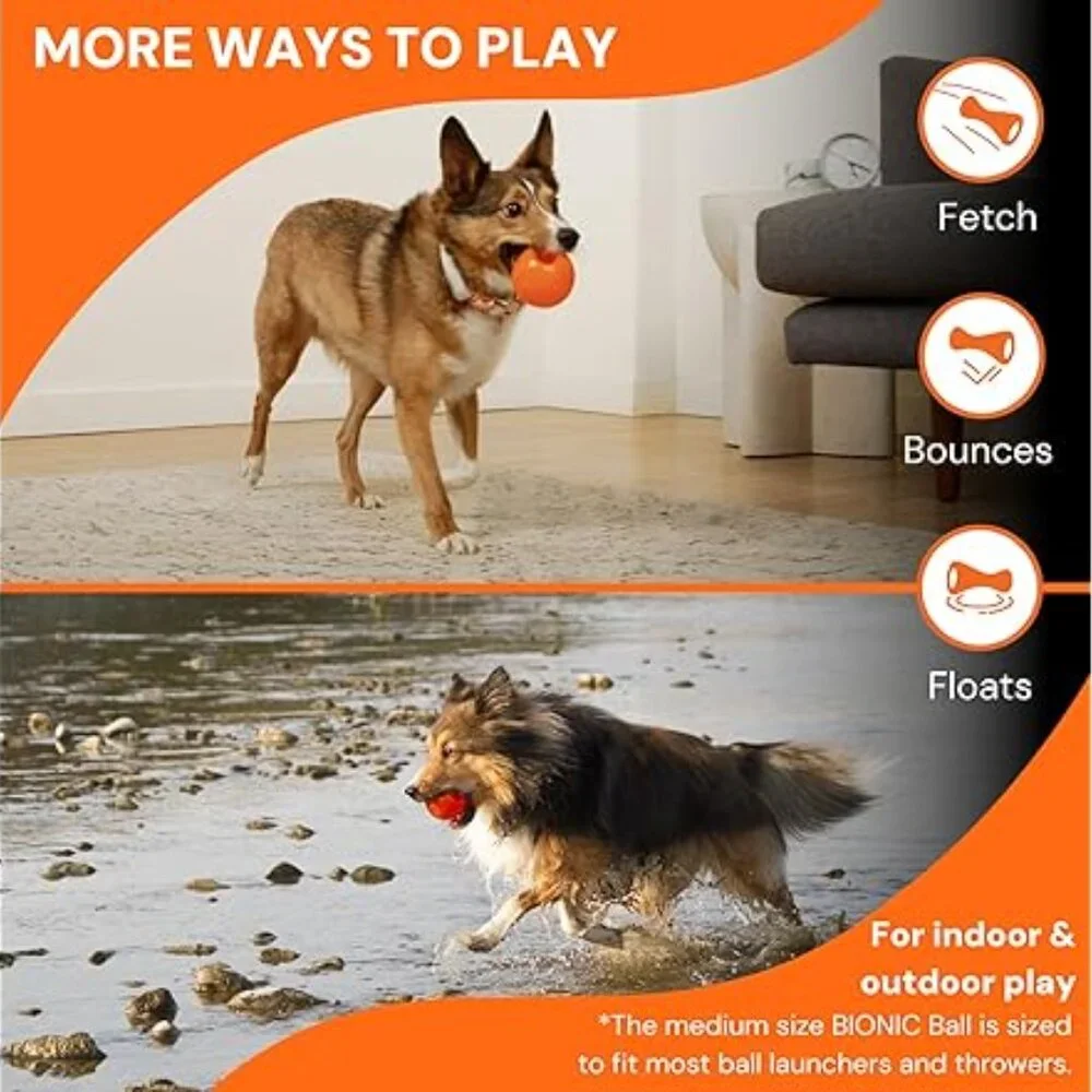 Bionic‎ by Outward Hound Tough Dog Ball | 2-Pack | Size Medium | NWT